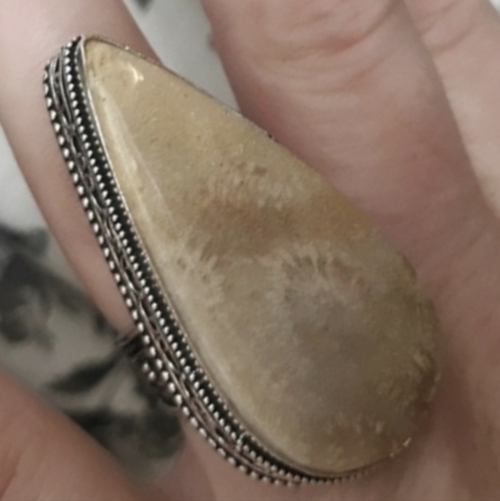 New Oversized Fossil Coral 925 Silver Statement Ring.